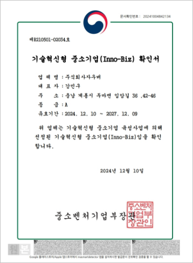 기술혁신형 중소기업(Inno-Biz)
